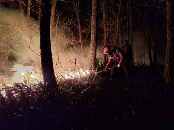 강원 양양 산불 대응 1단계