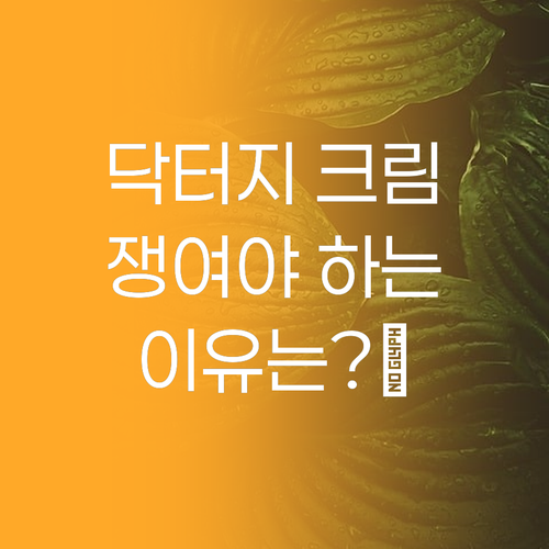 닥터지 레드 블레미쉬 클리어 크림, 