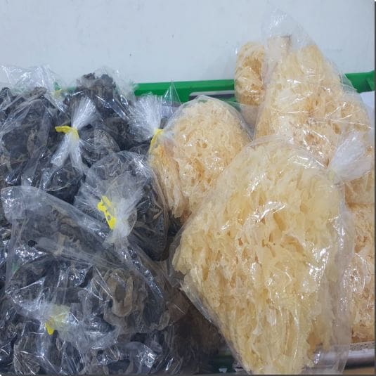 백목이버섯 효능 및 주요 성분 섭취량과 주의점