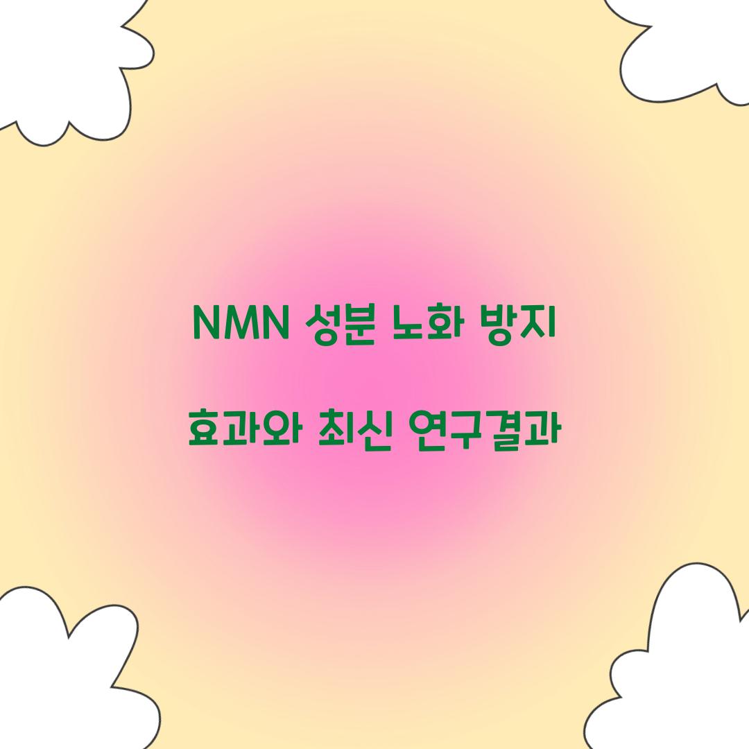 NMN 성분 노화 방지