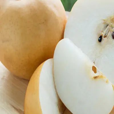 결핵-증상-결핵에-좋은-음식-건강