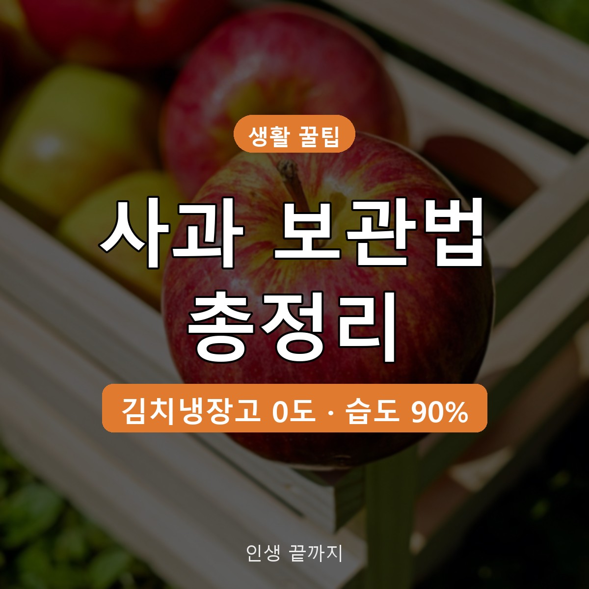 사과 보관법 김치냉장고 0도, 품종별 보관 기간과 포장법 정리