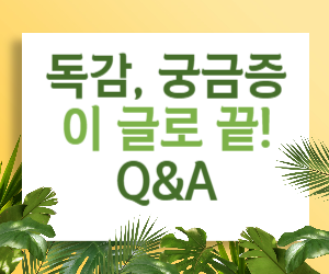 독감, 궁금증은 이 글로 끝!