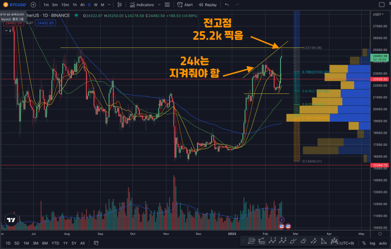 비트코인차트-2월-17일-일봉