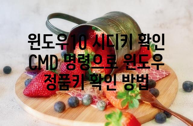 랜덤211