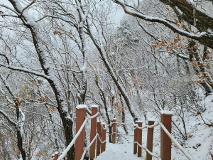 눈꽃산행 예봉산