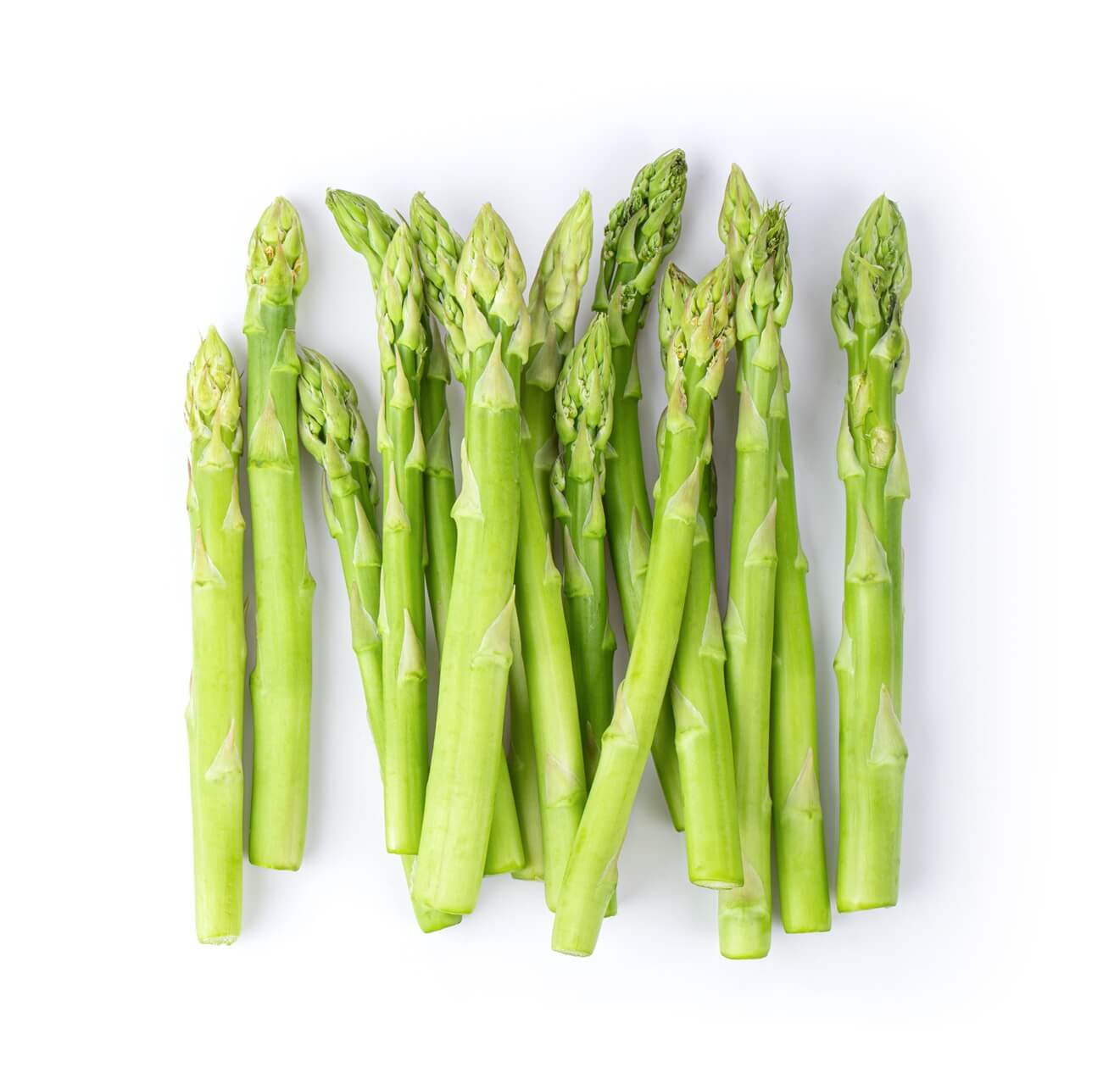 신장의 기능과 신장에 좋은 음식