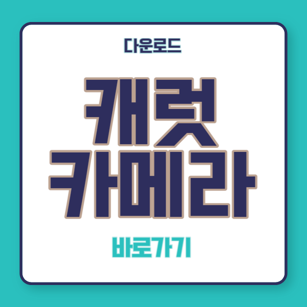 캐럿