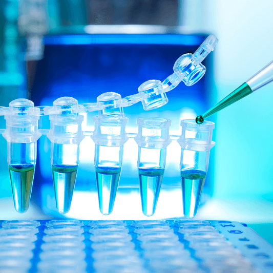 면역 요법 : 암 치료에서 면역 치료의 최신 동향