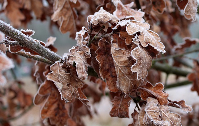 설날 연휴 날씨 전망 일기 예보 다음 주 날씨1