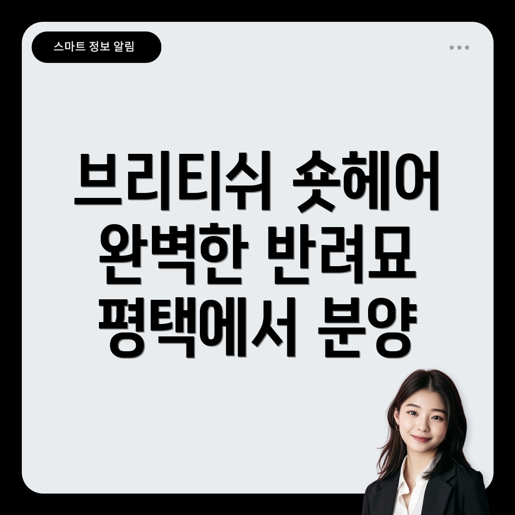 평택 고양이 분양
