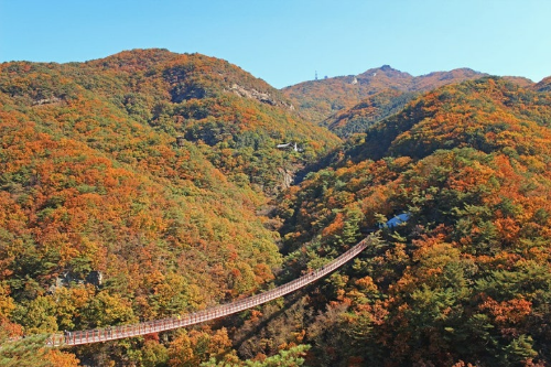 파주 감악산 출렁다리 사진