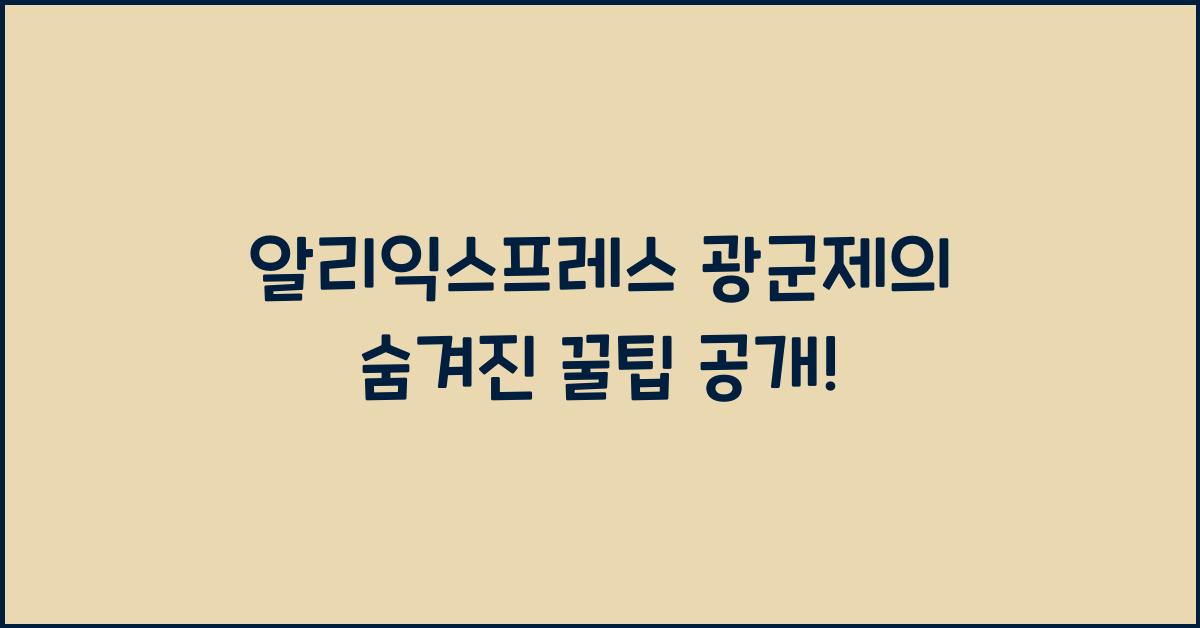 알리익스프레스 광군제