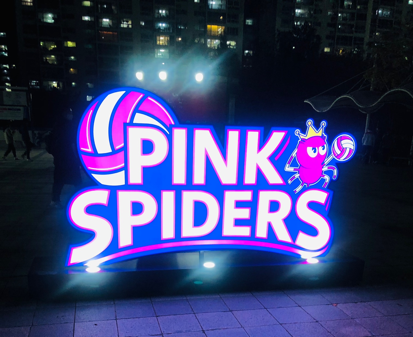 흥국생명핑크스파이더스