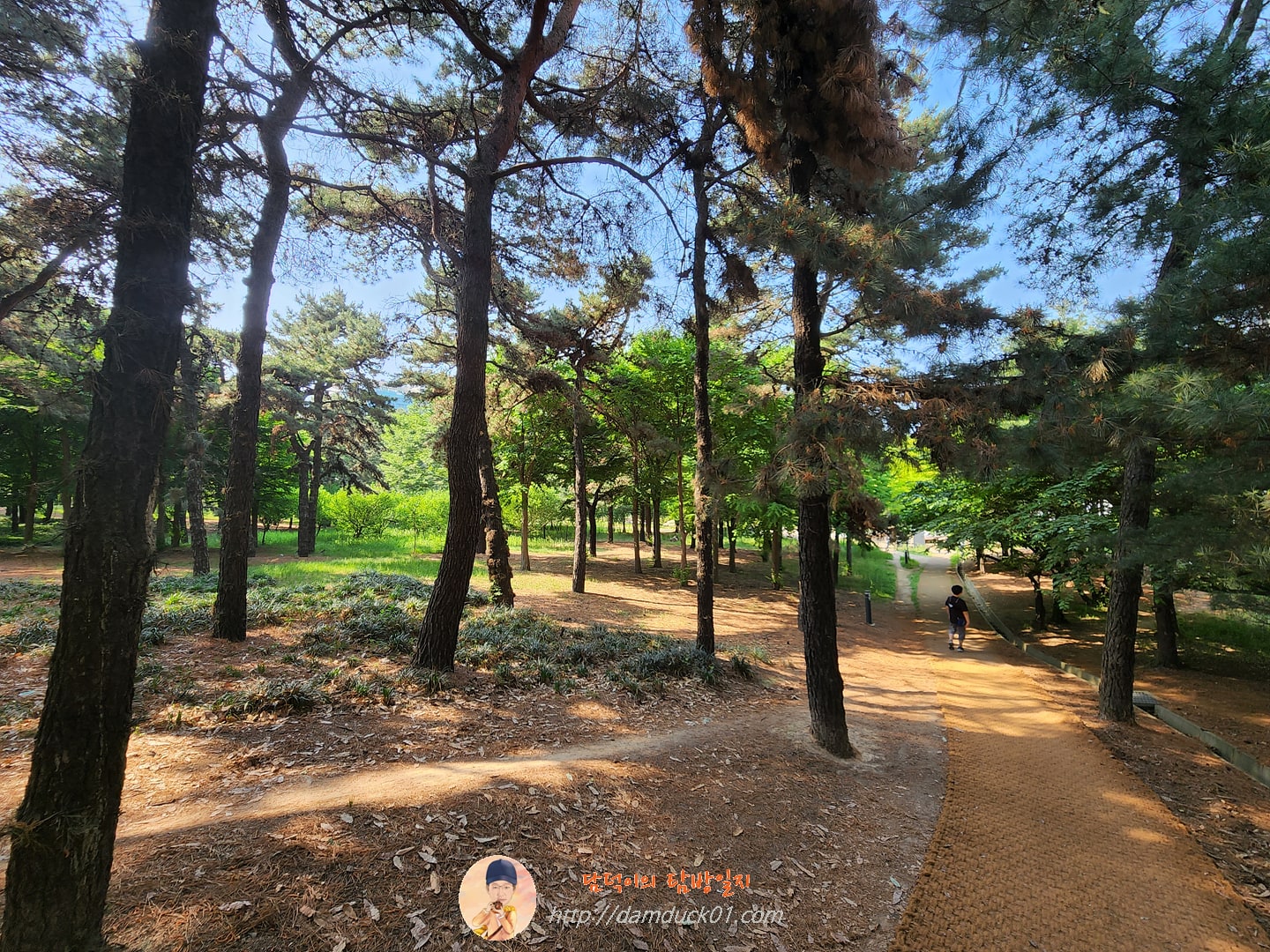 경기아트센터에서 효원공원 가는 길