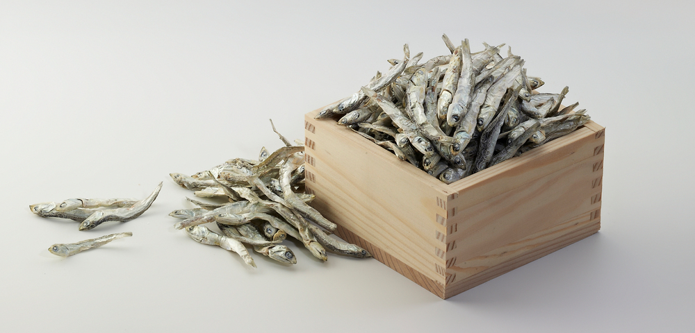 단백질 많은 음식 8가지