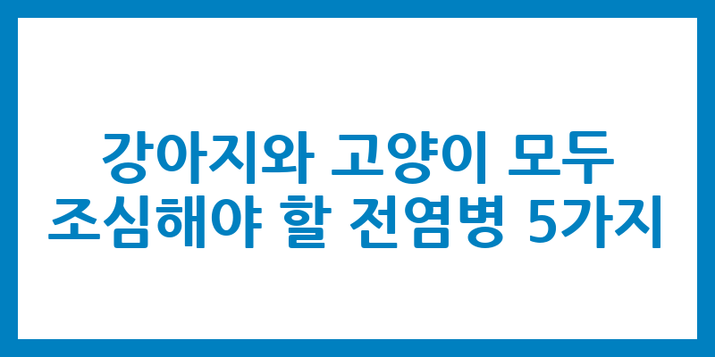 강아지와 고양이 모두 조심해야 할 전염병 5가지