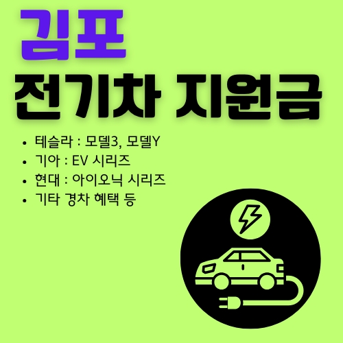 썸네일_최대로_받을_수_있는_EV_지원금_한도_알아보기