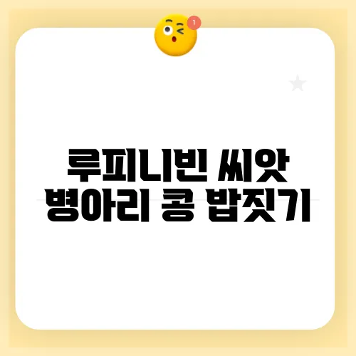 루피니빈 씨앗 병아리 콩 밥짓기