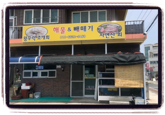 전현무계획 거제 코끼리조개 왕우럭조개