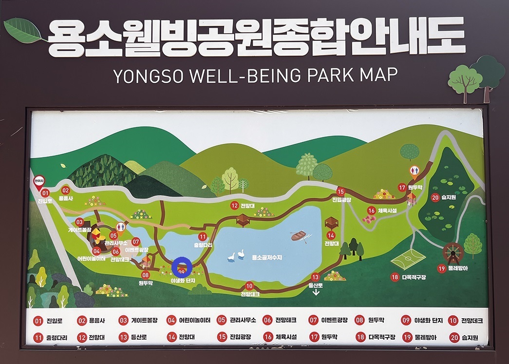 현재위치, 파란색 원 부근.