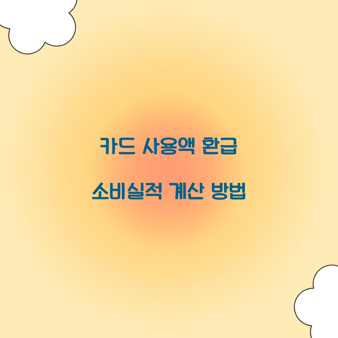 카드 사용액 환급 소비실적 계산 방법