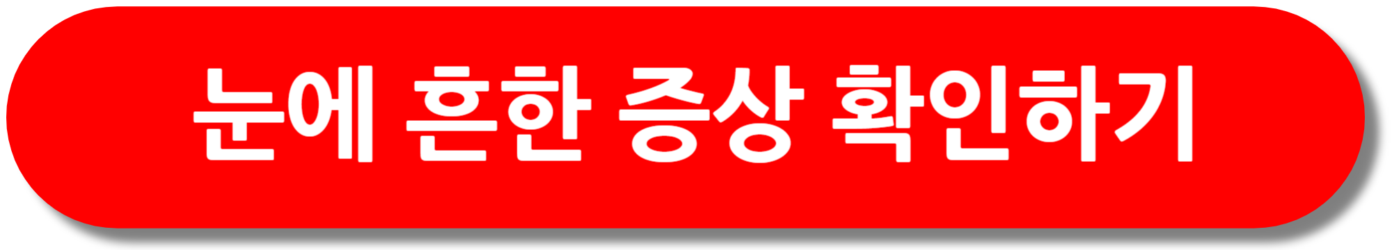 눈에-흔한-증상