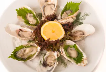 통영굴 직거래 가격, 효능 및 영양성분 부작용