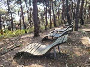 마적산 산림욕장