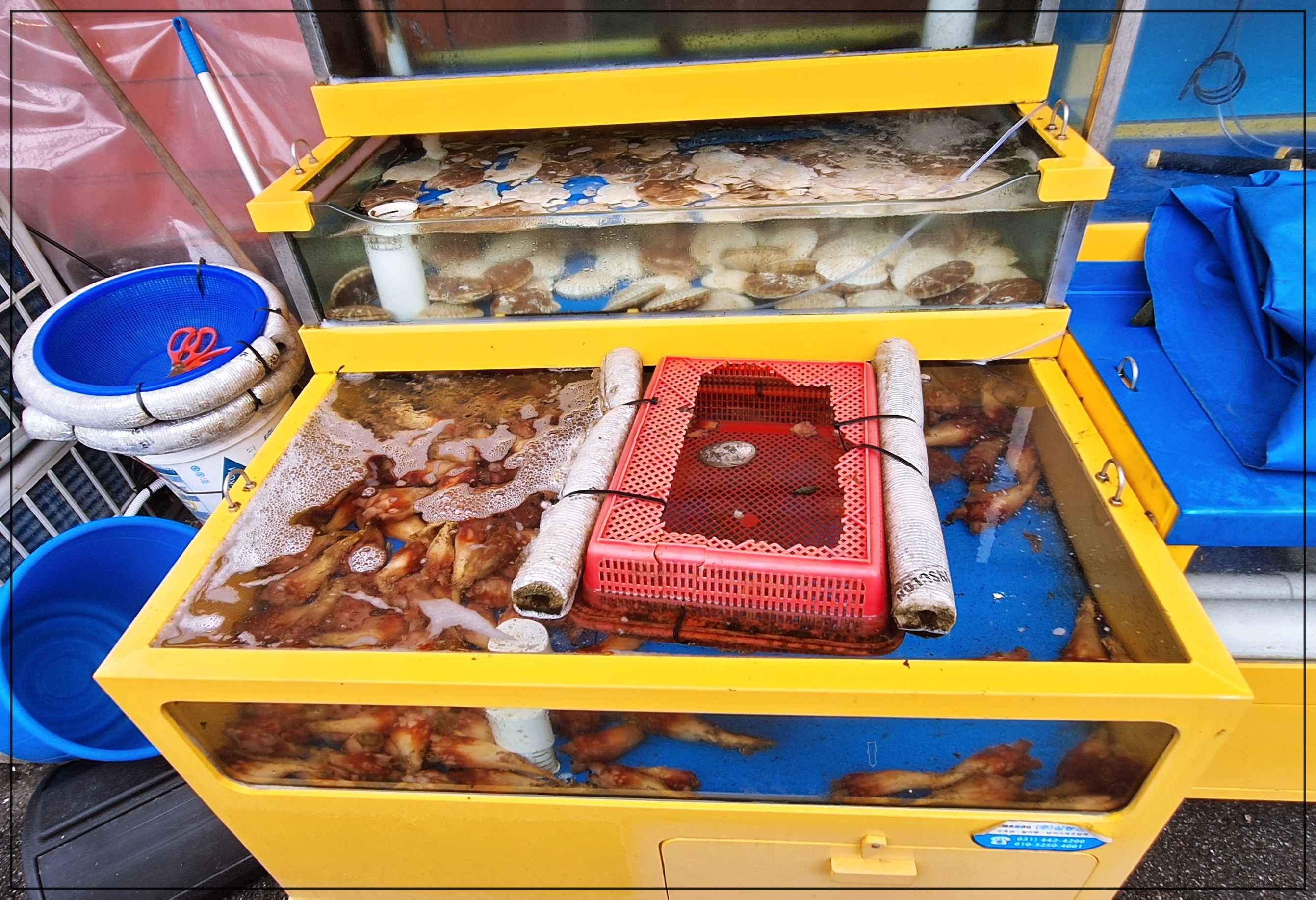 속초-맛집-추천-시장골목집-7