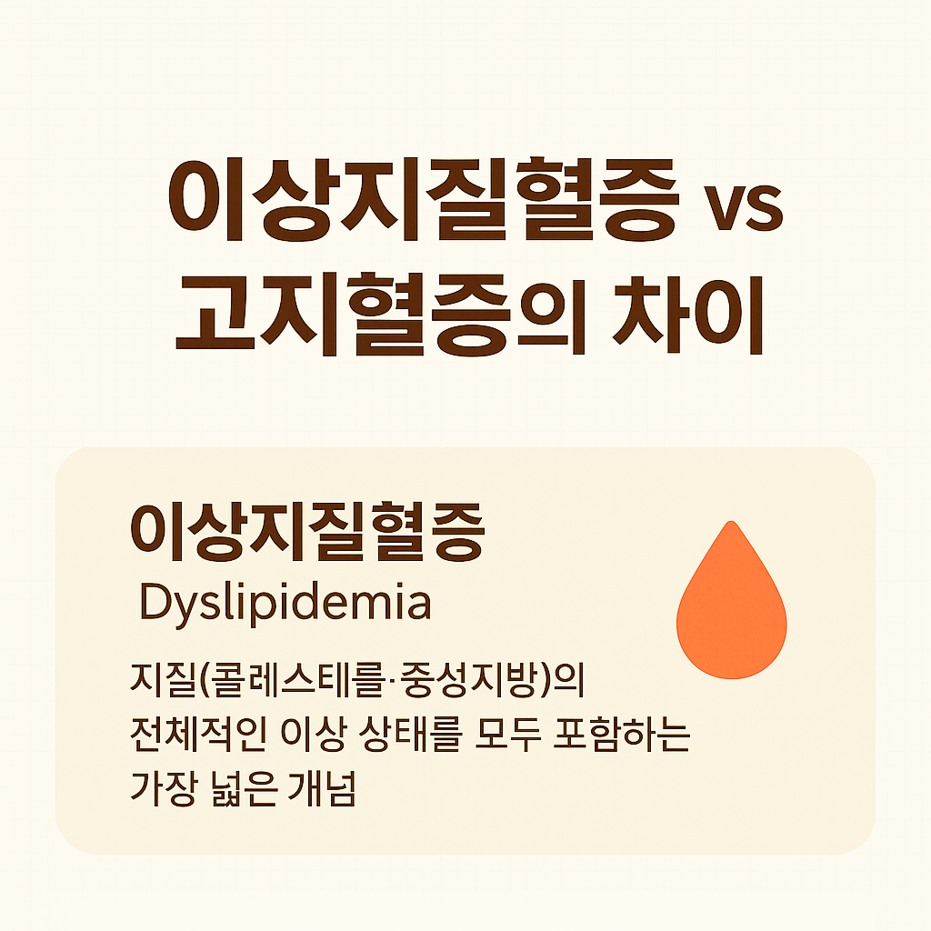 이상지질혈증과 고지혈증의 차이