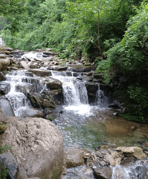 대구-비슬산계곡