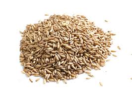 뱃살 빼는 최고의 음식 10