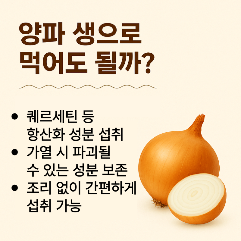 양파를 생으로 먹을 때의 장점과 주의사항을 정리한 이미지