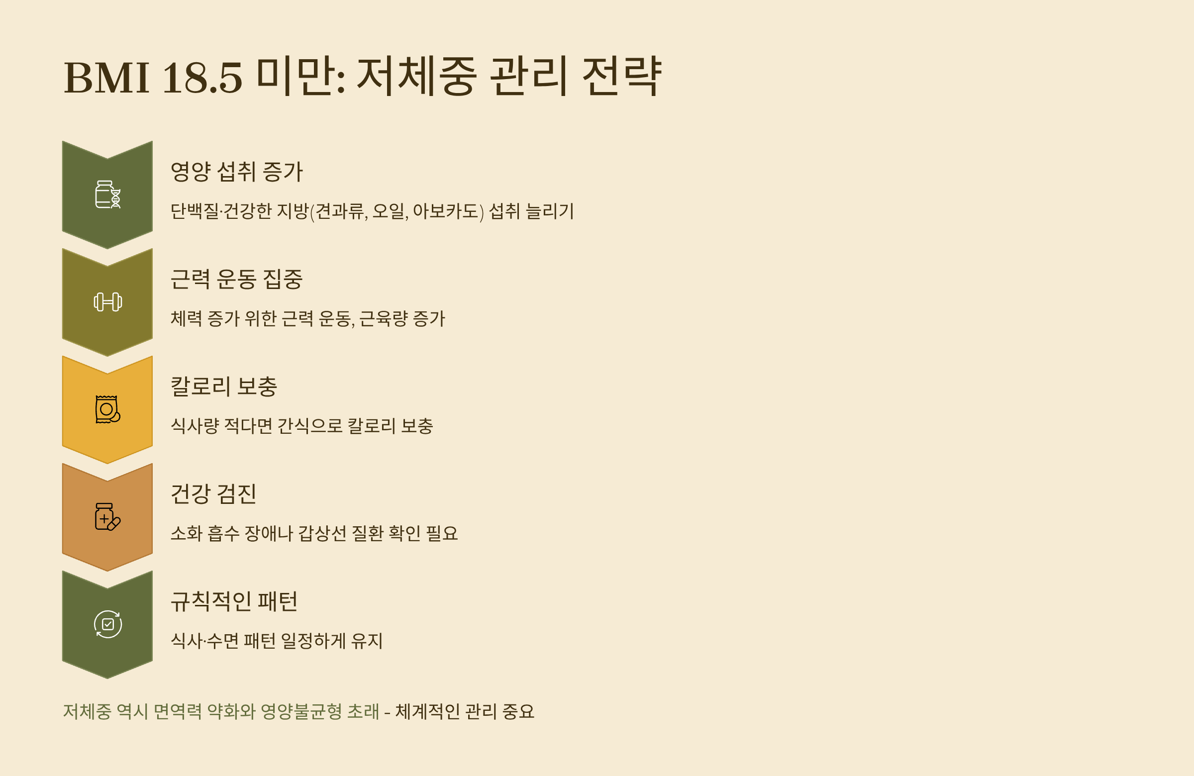 BMI 18.5미만 저체중 관리법