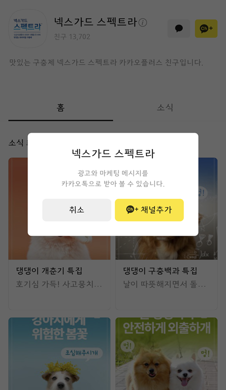 넥스가드 스펙트라 카톡채널