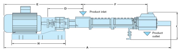 카나리아바이오 기업정보 차트 전망