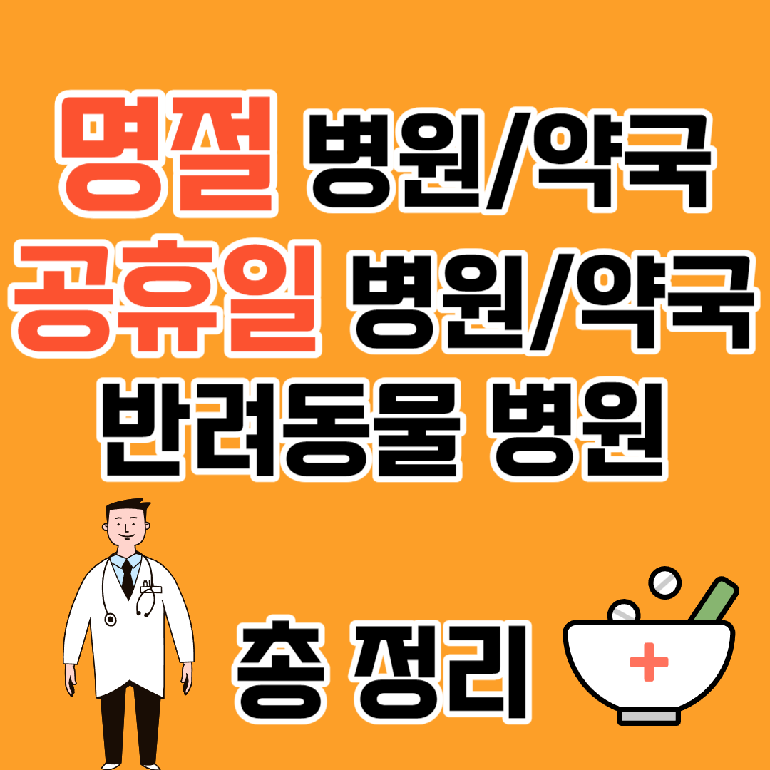 공휴일병원