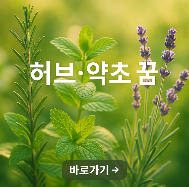 허브 약초 꿈