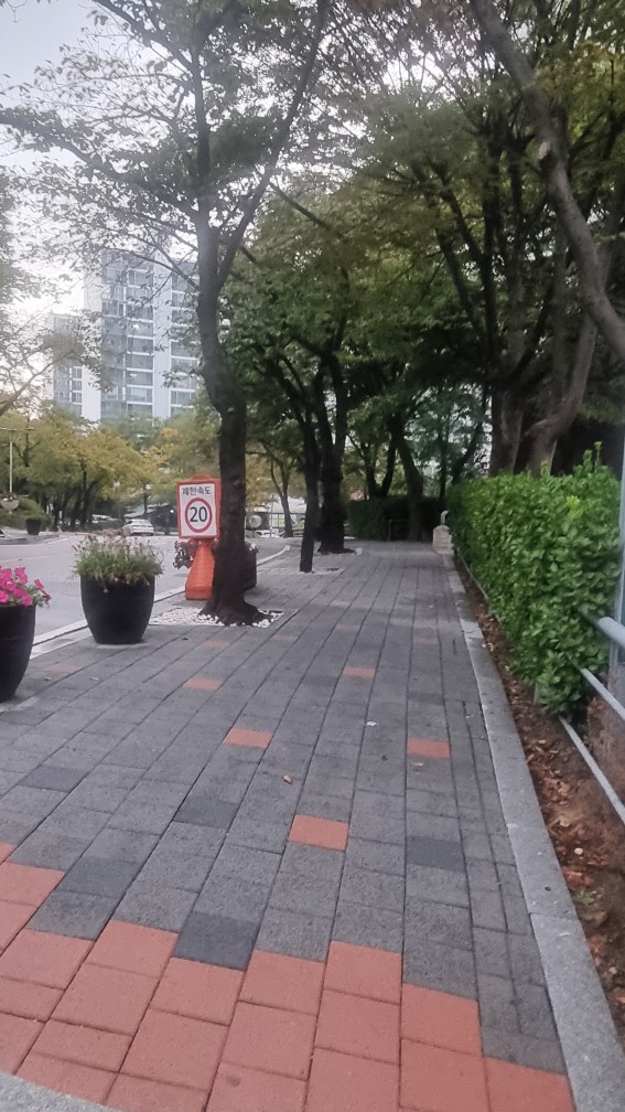 탑마을 대우 고도제한 완화