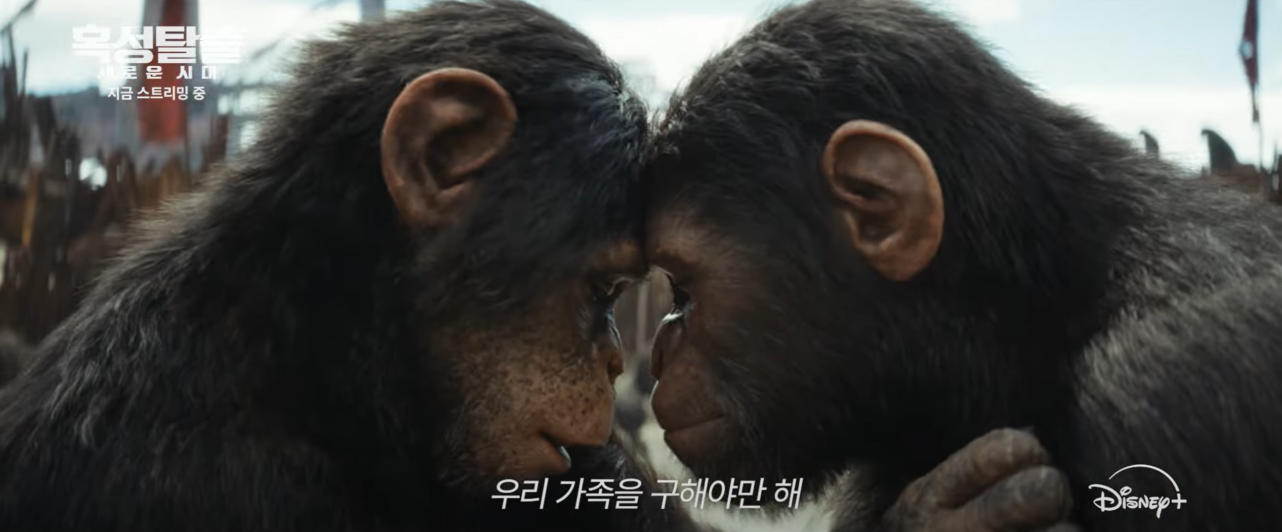 혹성탈출 새로운 시대