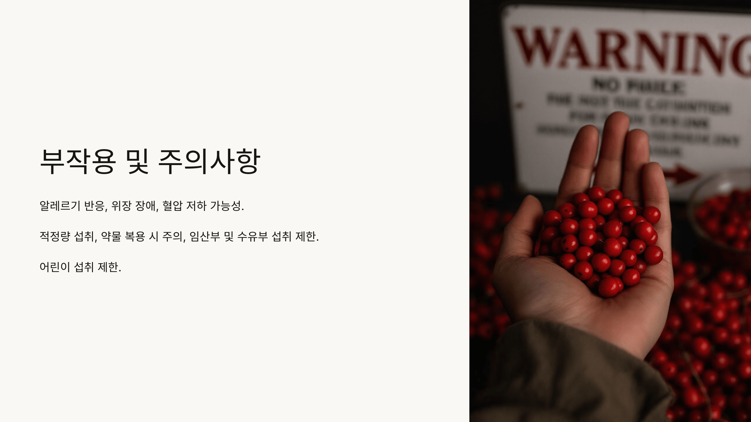 마가목 열매 사진입니다.