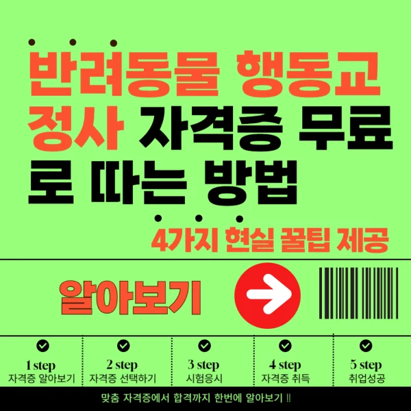 반려동물행동교정사 자격증, 무료로 따는 4가지 현실 꿀팁 (국비지원 포함)