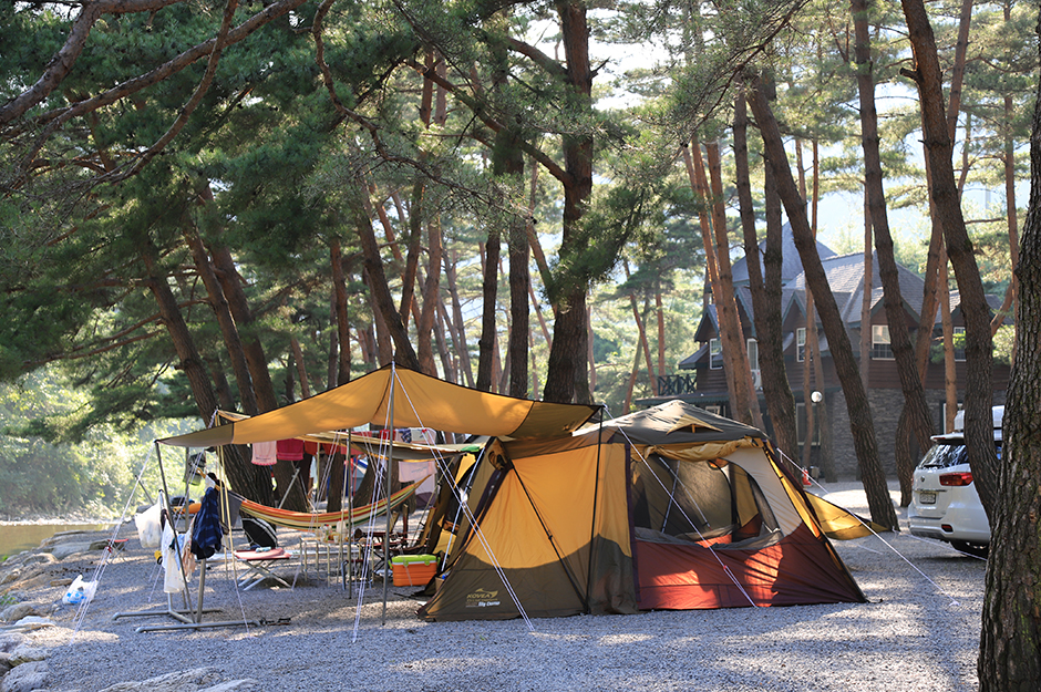 인생캠핑장, 영월 솔밭캠프장 소개