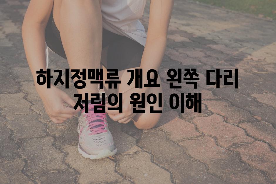 하지정맥류 개요 왼쪽 다리 저림의 원인 이해