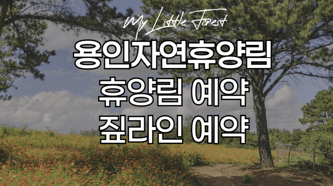 용인자연휴양림