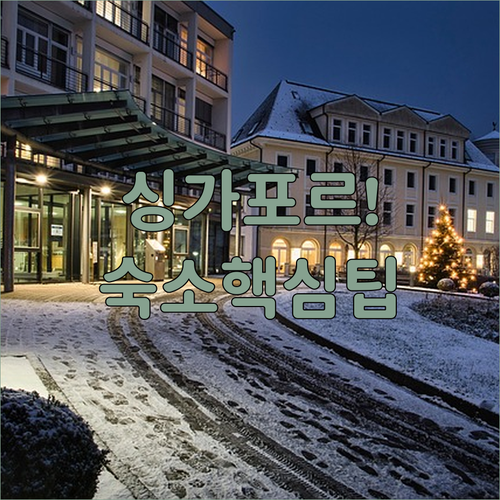 싱가포르 여행 타입별 맞춤 숙소 5가..