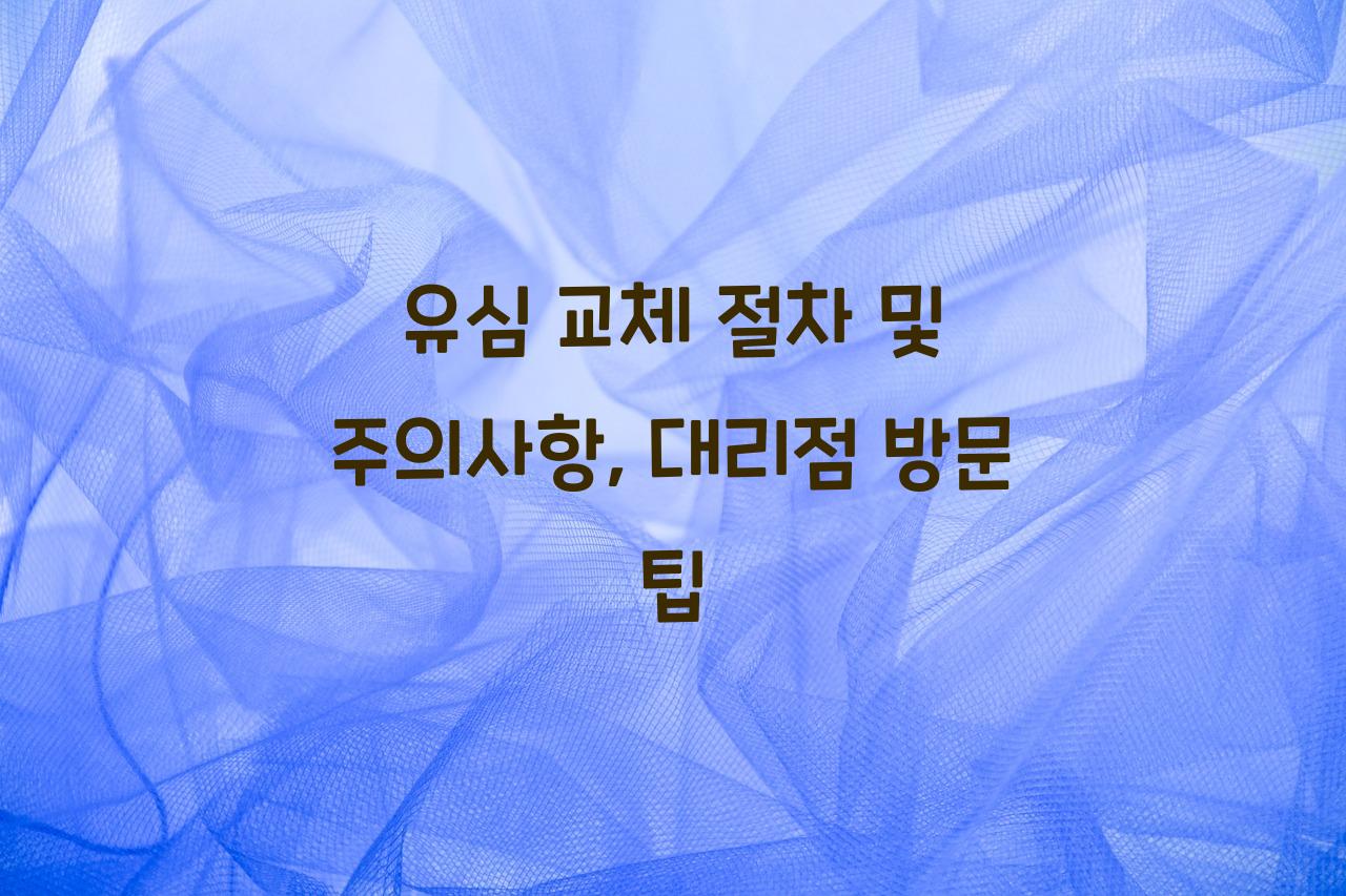 유심 교체