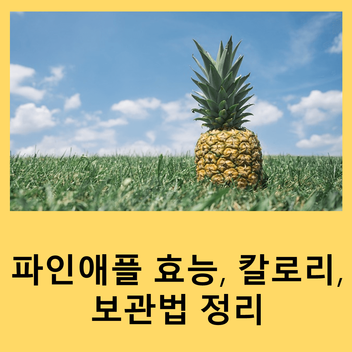 파인애플
