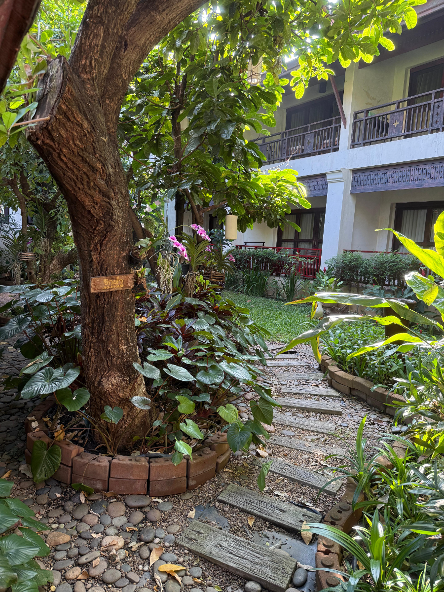 치앙마이 올드타운 4성급 호텔 추천 - Chiang Mai Old Town 4-Star Hotel